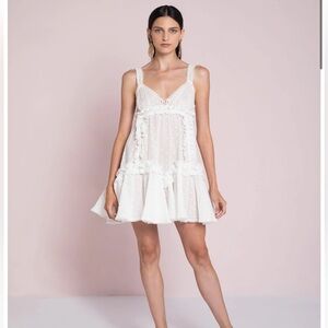 CHIO Millie Lace Dress (xs)